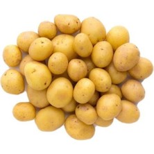 Baby Patates 10 kg