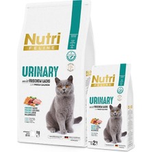 Nutri Feline Yetişkin Somon Etli Adult Urinary Kedi Maması 10 kg