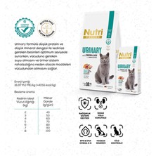 Nutri Feline Yetişkin Somon Etli Adult Urinary Kedi Maması 10 kg