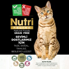 Nutri Feline Yetişkin Somon Etli Adult Urinary Kedi Maması 10 kg