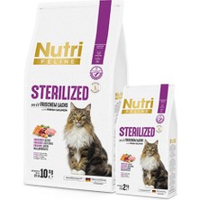 Nutri Feline Yetişkin Kısırlaştırılmış Somonlu Adult Sterilised Kedi Maması 10 kg