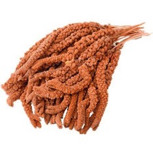 Kırmızı Dal Darı 1 kg 13