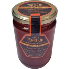 Kestane Balı 850G