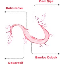 Axodine Ferahlatıcı Pudra Bambu Çubuklu Oda Kokusu 100 ML