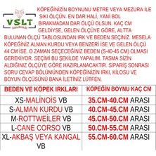 VSLT Handmade Büyük Irk Köpek Tasma ve Kayış.K9 Tasma.doberman, Rottweiler, Malinois, Dogo, Cane Corso, Husky, Golden, Alman Kurdu Vb