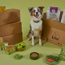 Kito Fresh Tavuk Etli Taze Köpek Yemeği