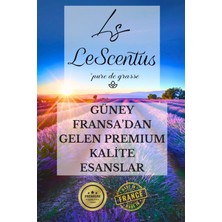 AVENTURE Esansiyel Koku Yağı Buhurdanlık Yağı Difüzör Hobi Esansı Oda Ortam Kokusu 10ml