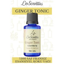 Ginger Tonic Esansiyel Koku Yağı Buhurdanlık difüzör mum sabun hobi esansı Hava nemlendirici Oda Kokusu10ML