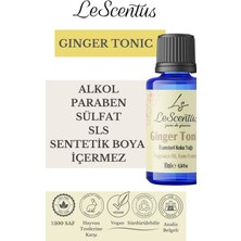 Ginger Tonic Esansiyel Koku Yağı Buhurdanlık difüzör mum sabun hobi esansı Hava nemlendirici Oda Kokusu10ML