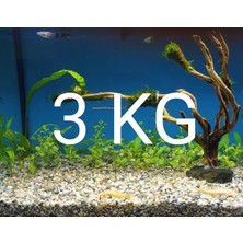 Akvaryum Bitki Kumu Dere Kumu 3 kg