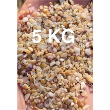 Akvaryum Kumu Yıkanmış Hazır Kurulum Midye Kırığı 5 kg