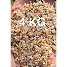 Akvaryum Kumu Tropikal Midye Kırığı Kum 4 kg