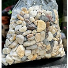 Akvaryum Taşı Saksı Taşı Bahçe Düzenleme Taşı Seçilmiş Renkli Taş ( 2 cm ) 2 kg