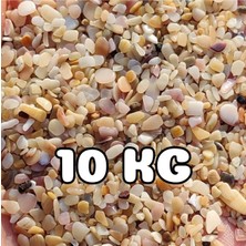 Akvaryum Kumu Yıkanmış Hazır Kurulum Midye Kırığı 10 kg