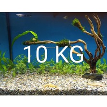 Akvaryum Bitki Kumu Dere Kumu 10 kg