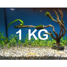 Akvaryum Bitki Kumu Dere Kumu 1 kg