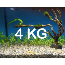 Akvaryum Bitki Kumu Dere Kumu 4 kg