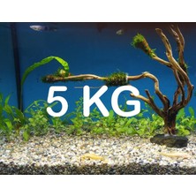 Akvaryum Bitki Kumu Dere Kumu 5 kg