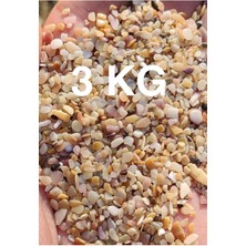 Akvaryum Kumu Tropikal Midye Kırığı Kum 3 kg