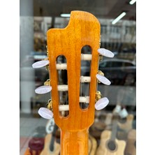 Clariss İnce Kasa Sahne Gitarı