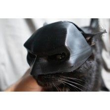 Ace Art Batcat Kedi Kaskı - Evcil Dostunuz Için Özel Bir Hediye