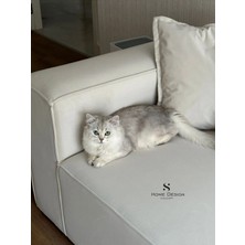 S Home Design Concept Frida 4 Modül Yönsüz Kadife