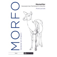 Morfo - Memeliler Karşılaştırmalı Morfolojinin Unsurları - Michel Lauricella