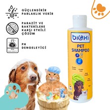 Bioxi ® Vegan Kedi ve Köpek Şampuanı - Doğal Bakım ve Parlak Tüyler Için 200 ml x 2'li Paket