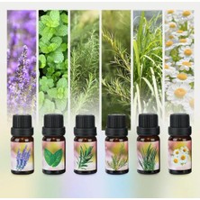 AteşTech Aromatik Uçucu Yağ Saf 6 Lı Set Karışık Başlangıç Paketi Aroma Terapi