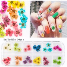 Nail Art kurutulmuş çiçek NG-145
