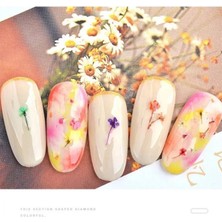 Pinpai Nail Art Kurutulmuş Çiçek NG-155