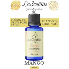 Le Scentus Mango Esansiyel Koku Yağı ODAKOKUSU10ml