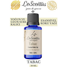 Le Scentus Tabac Esansiyel Koku Yağı ODAKOKUSU10ml