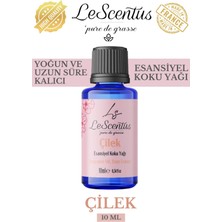 Le Scentus Çilek Esansiyel Koku Yağı ODAKOKUSU10ml