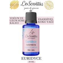 Le Scentus Euridyce Esansiyel Koku Yağı Oda KOKUSU10ml