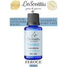 Le Scentus Feroce Esansiyel Koku Yağı Oda KOKUSU10ml