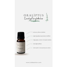 Okaliptus Uçucu Yağı %100 Saf 10 ml