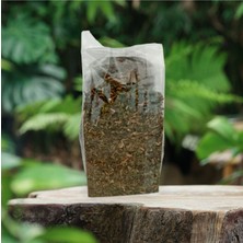 Lokman Aktar Mate Yaprağı 50 gr