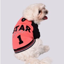 Gedyco Star Girl Polarlı Küçük Irk Köpek Sweatshirtü