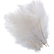 Nettenevime 10LU Set Deve Kuşu Tüyü Beyaz 40-45  cm  Gerçek Tüy 1 Adet