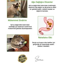 Doğal Avokado Kedi Nanesi Otu Topu Oyuncağı Yapışkanlı Yalama Sakinleştirici Catnip Yenilebilir Çimi