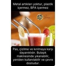 Svein 4 Adet Paslanmaz Çelik Pipet Yeniden Kullanılabilir Metal Temizleme Fırçası Meşrubat Içecek