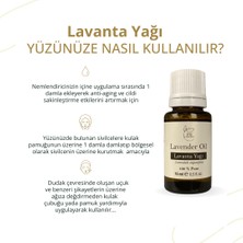 PH Concept Saf Lavanta Uçucu Yağı 15 ml (Lavandula Angustifolia)