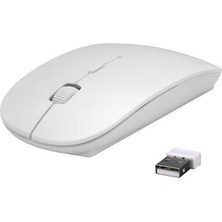 Everest SM-781 Beyaz Optik Nano Receive Kablosuz Mouse