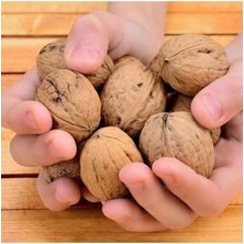 Ceviz Ince Kabuk Yeni Sezon Taze Ceviz 1 kg