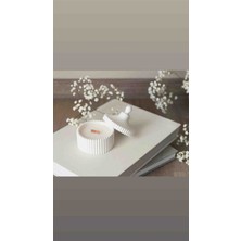 Meltt Candle Ahşap Fitilli Dekoratif Mum