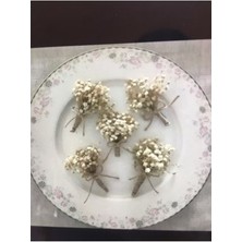 Cipso Damat Yaka Çiçeği