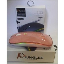 Rgb LED Işıklı Şarjlı Kablosuz Mouse 2.4 Ghz 800-1200-1600 Ayarlanabilir Dpi Sessiz