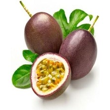 1 kg Çarkıfelek Meyvesi, Pasiflora, Passiflora, Passion Fruit, Aşk Meyvesi