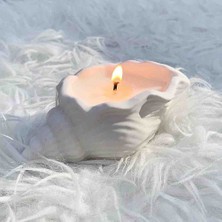 Meltt Candle Deniz Kabuğu Dekoratif Mum